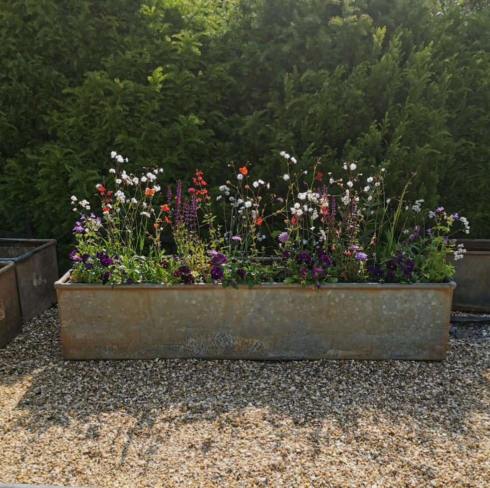 Galvanised Trough- 6ft