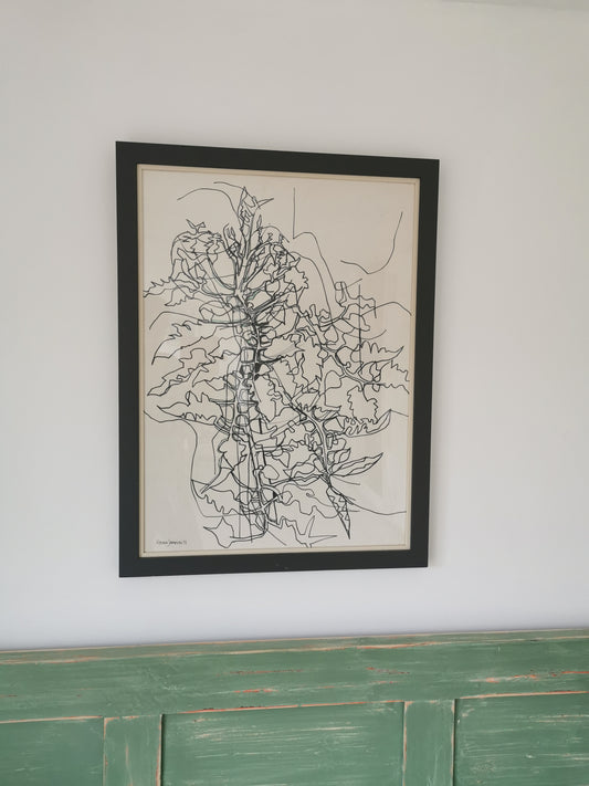 Tomato Plant, Pen and ink.