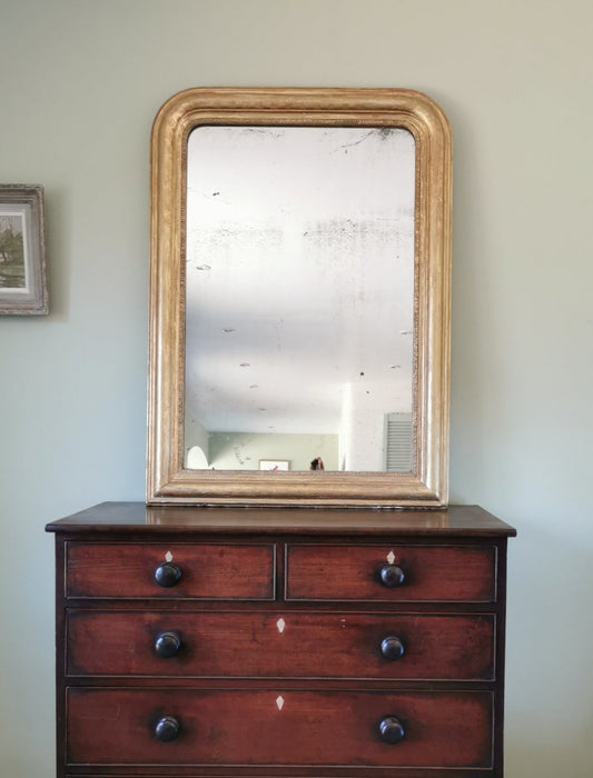 French Gold Gilt Mirror