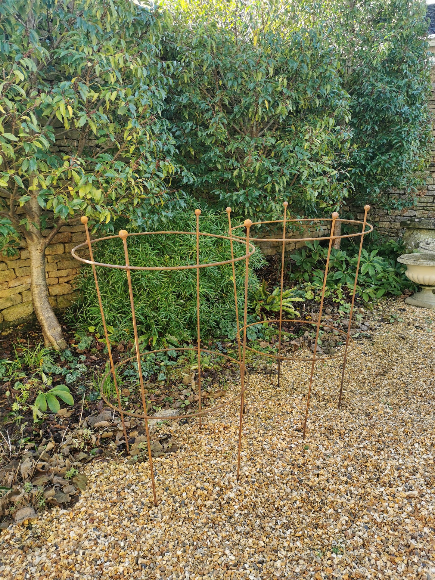 Metal Extra Large Plant Guard