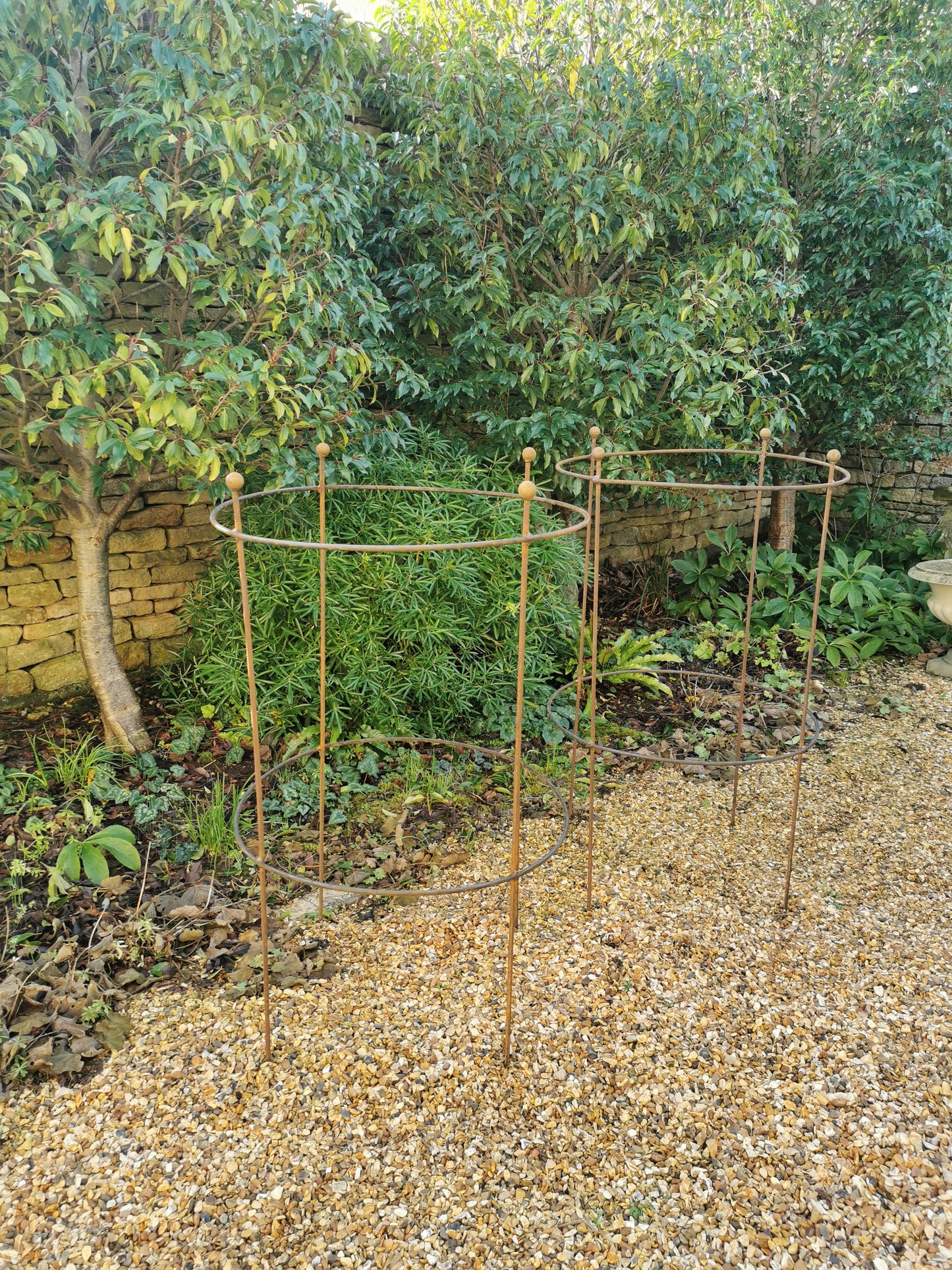 Metal Extra Large Plant Guard