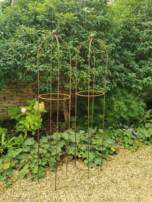 Metal Obelisk Plant Support