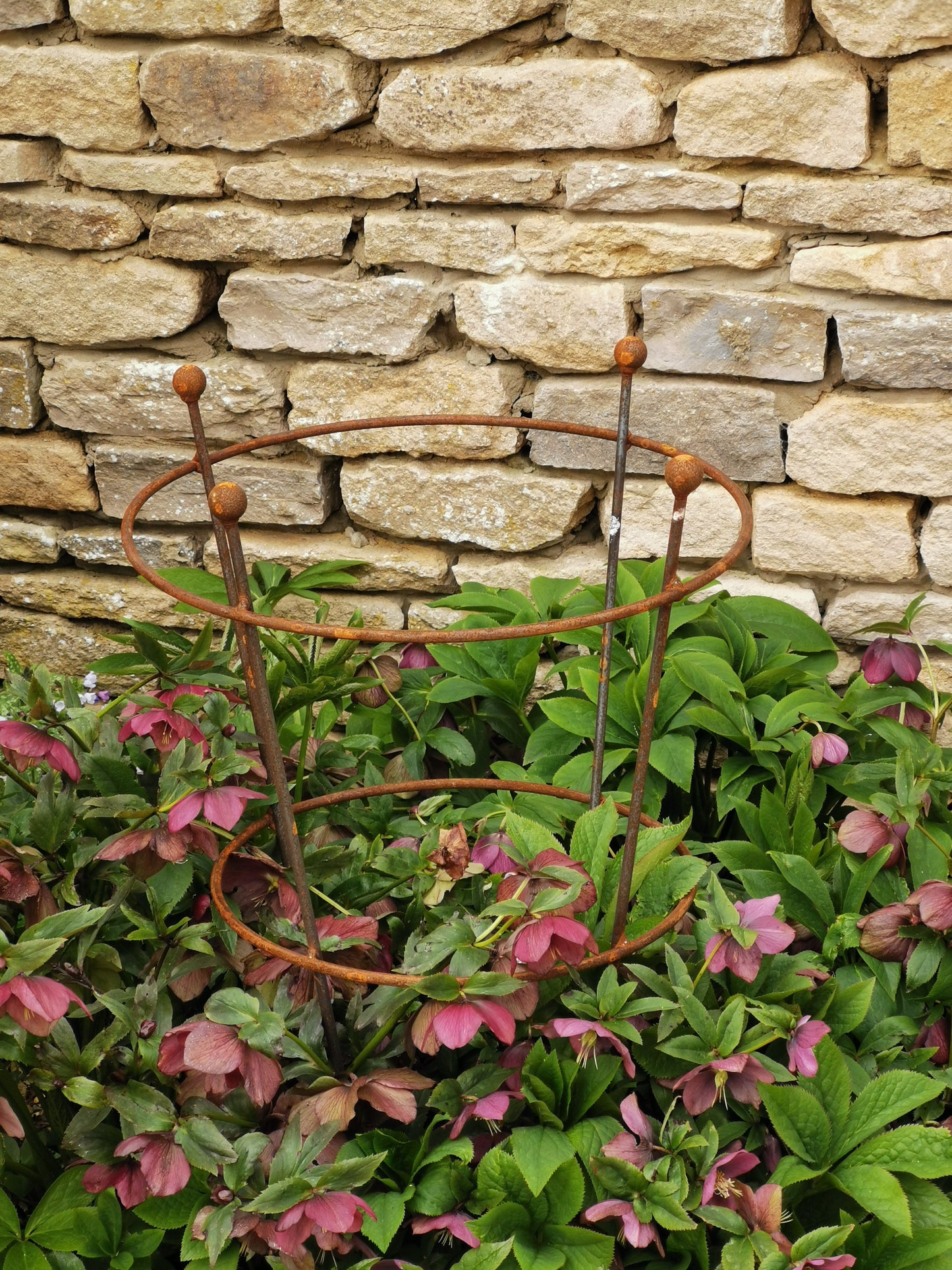 Peony & Rose Plant Supports